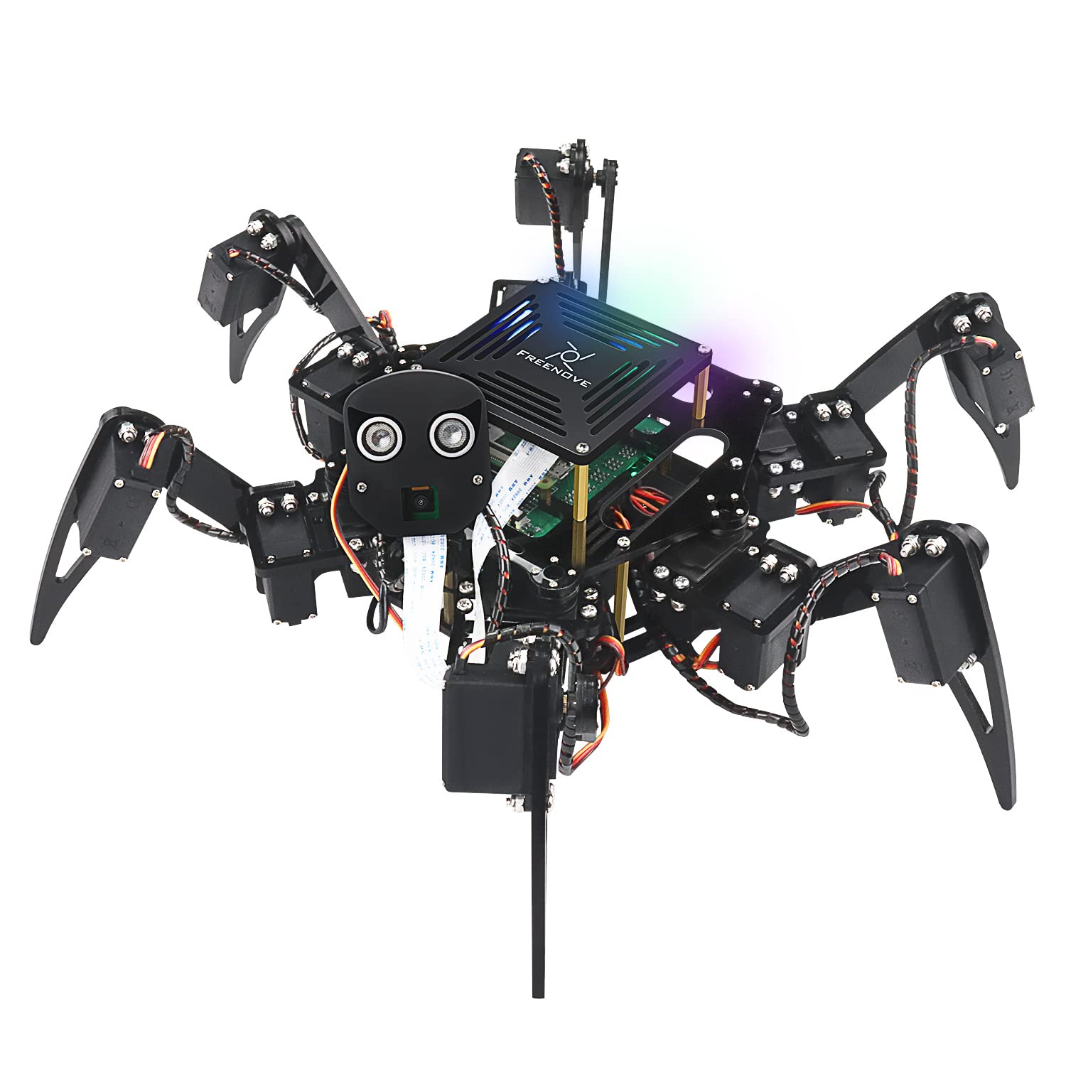 Hexapod Robots